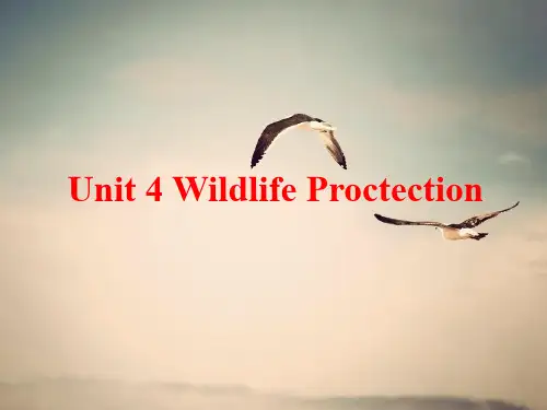 英语必修二Unit4WIldlifeprotection-Warmingup