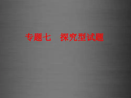 2016中考化学-第二部分-专题突破强化训练-专题七-探究型试题课件-新人教版