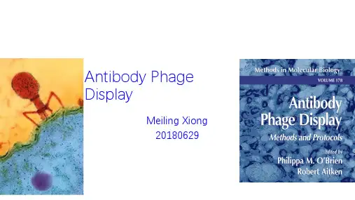 抗体噬菌体展示技术ppt课件