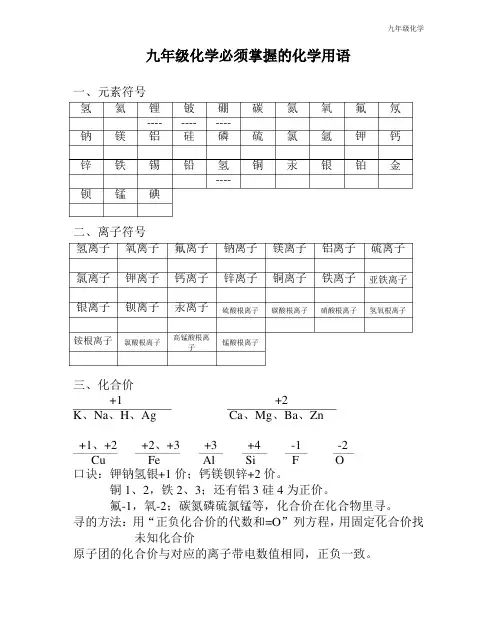 九年级化学化学用语-知识总结