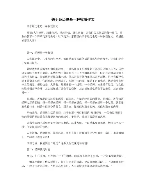 关于经历也是一种收获作文