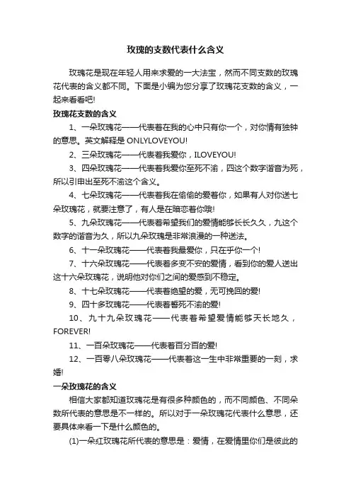 玫瑰的支数代表什么含义