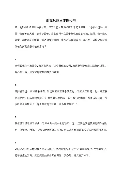 酯化反应固体催化剂