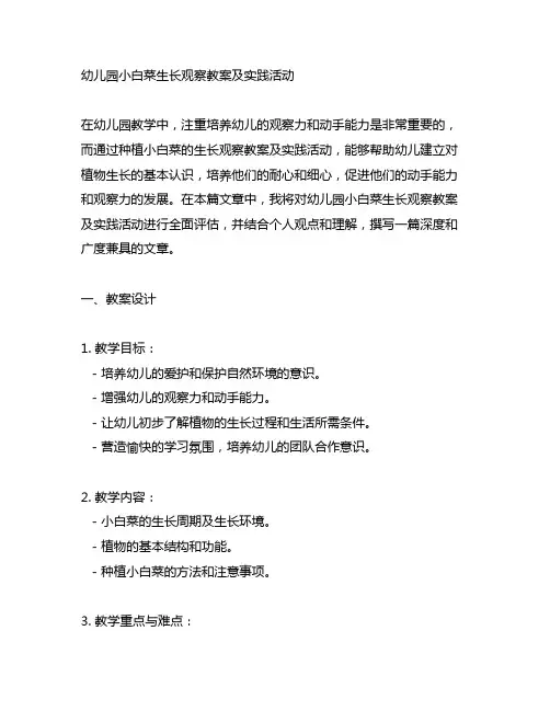 幼儿园小白菜生长观察教案及实践活动