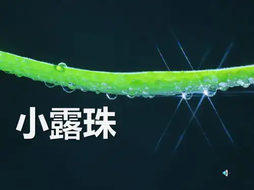 《小露珠》PPT课件