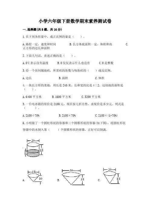 小学六年级下册数学期末素养测试卷附答案(达标题)