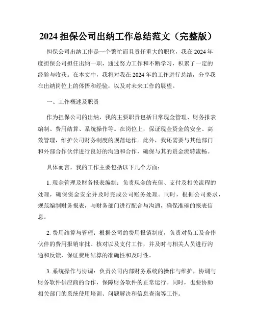 2024担保公司出纳工作总结范文(完整版)