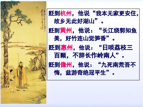 定风波(共31张PPT)