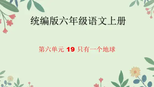 19 只有一个地球 课件(共33张ppt)