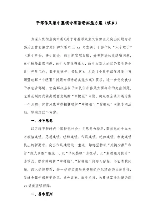 干部作风集中整顿专项活动实施方案