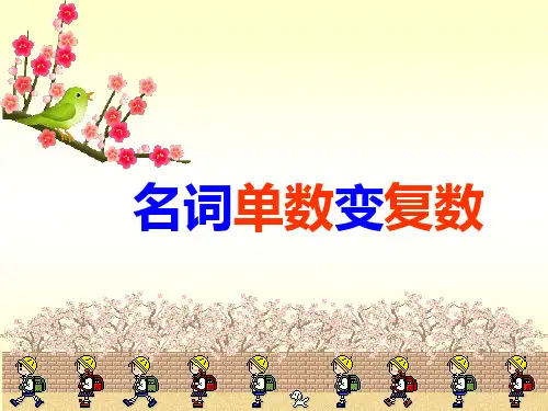 名词单数变复数PPT课件
