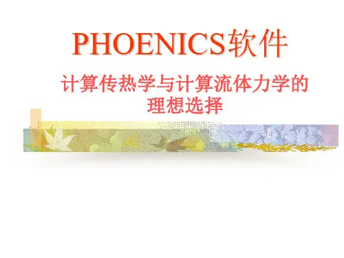 PHOENICS简介