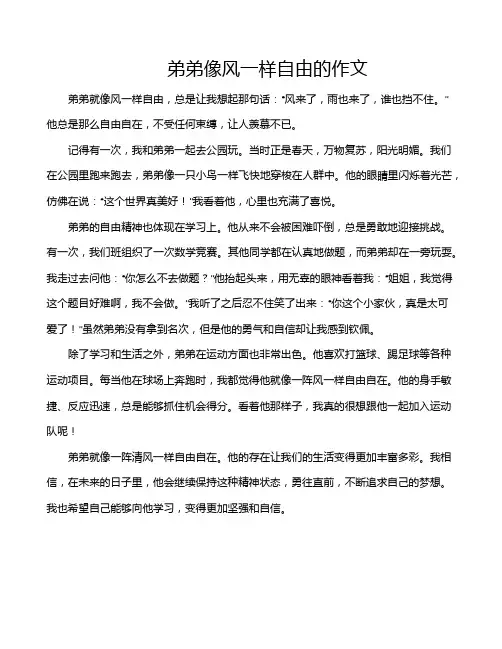 弟弟像风一样自由的作文