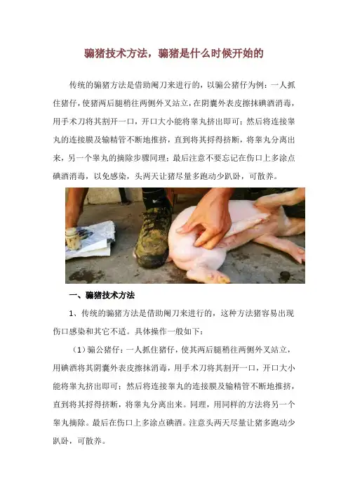 骟猪技术方法,骟猪是什么时候开始的