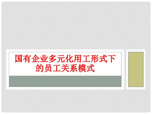 国有企业多元化用工形式下的员工.ppt