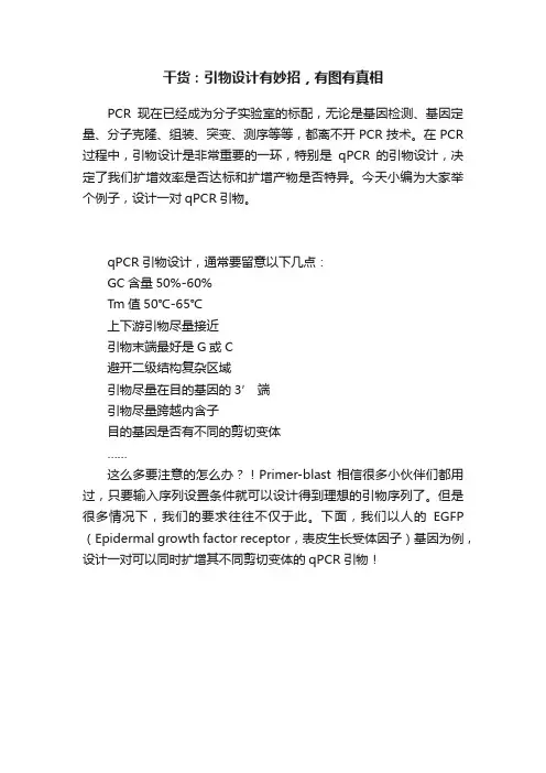 干货：引物设计有妙招，有图有真相