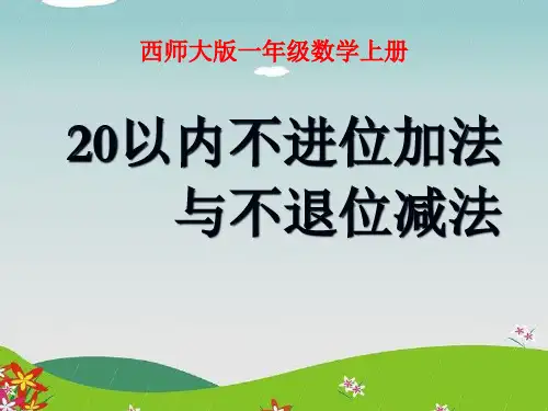 20以内不进位加法与不退位减法PPT
