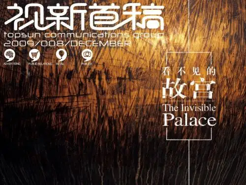视新首稿2009-008