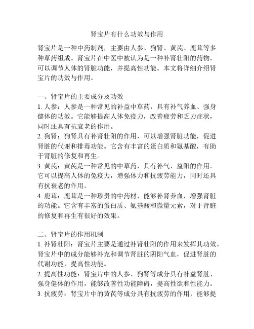 肾宝片有什么功效与作用