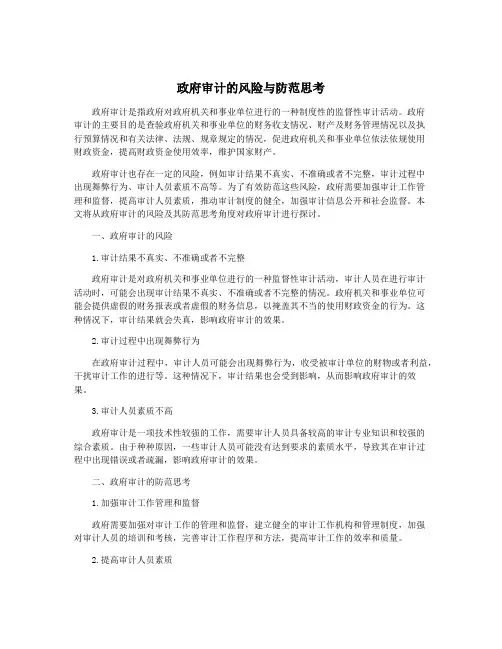 政府审计的风险与防范思考