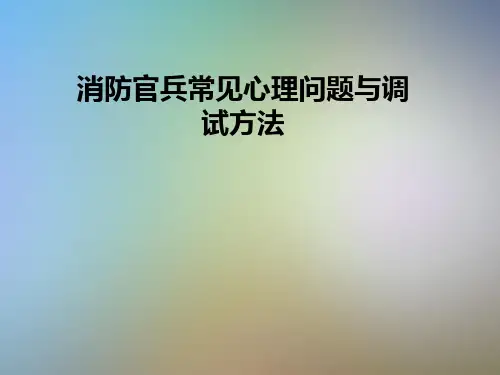 消防官兵常见心理问题与调试方法
