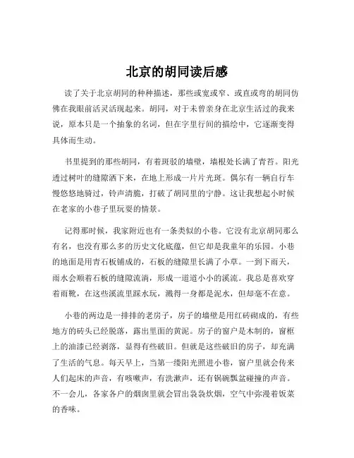 北京的胡同读后感