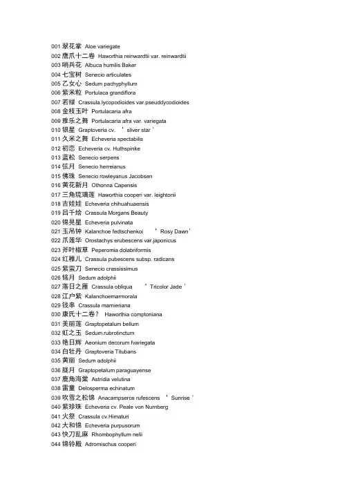 常见多肉学名