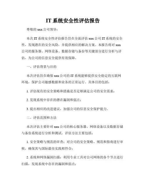 IT系统安全性评估报告