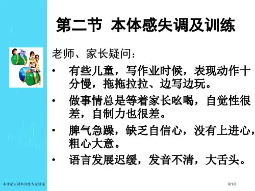 本体觉失调和训练专家讲座