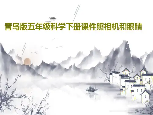 青岛版五年级科学下册课件照相机和眼睛共24页