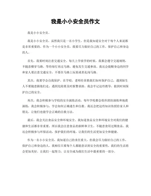我是小小安全员作文