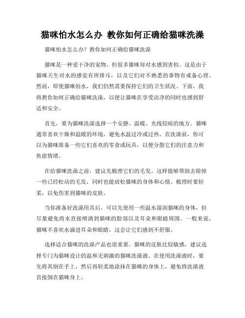 猫咪怕水怎么办  教你如何正确给猫咪洗澡