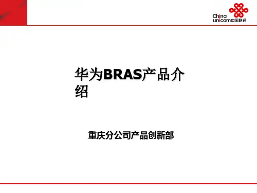 华为BRAS产品简要介绍(ppt 28页)