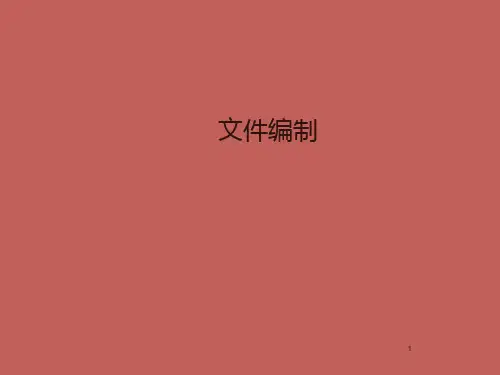 文件编制ppt课件