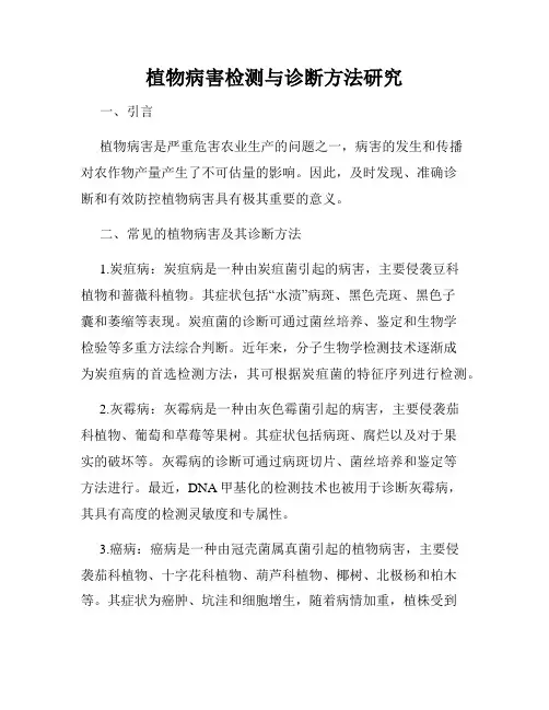 植物病害检测与诊断方法研究