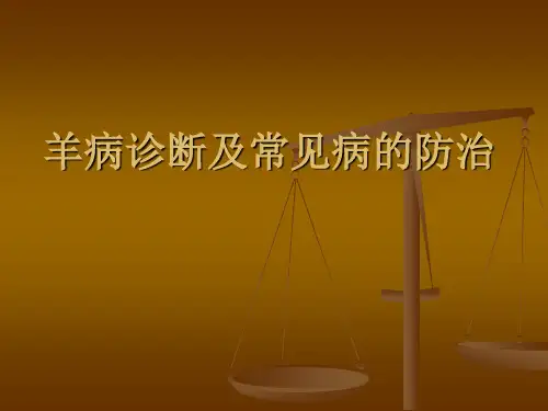 羊病诊断及常见病的防治