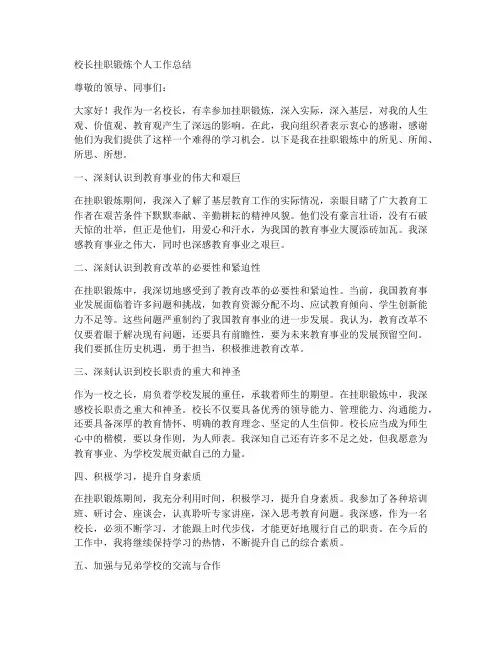 校长挂职锻炼个人工作总结