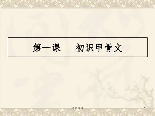 初识甲骨文(一)精选ppt