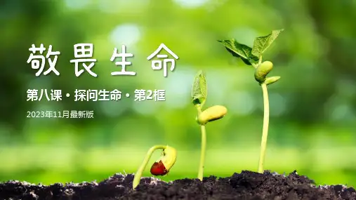 8.2 敬畏生命  课件(21张PPT)-2023-2024学年部编版道德与法治七年级上册