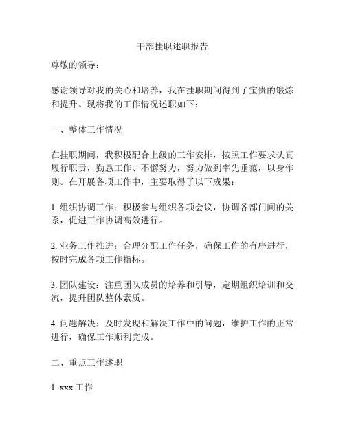 干部挂职述职报告