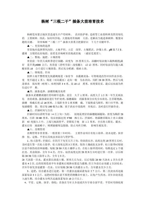 杨树“三根二干”插条大苗培育技术
