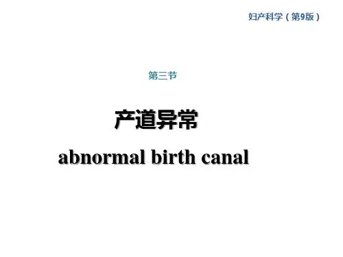 产道异常课件