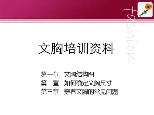 内衣培训资料.ppt12