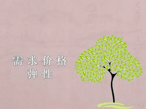 需求价格弹性ppt课件