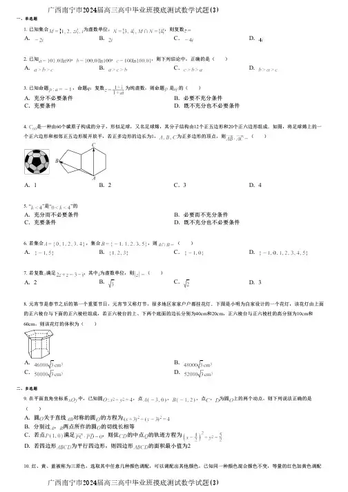 广西南宁市2024届高三高中毕业班摸底测试数学试题(3)