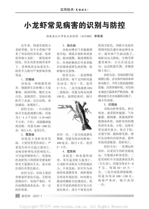 小龙虾常见病害的识别与防控