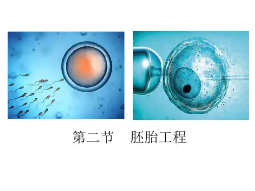 选修三 第三章 第二节 胚胎工程 课件ppt（23张）