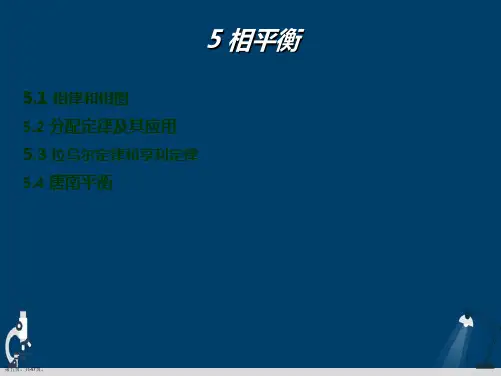 物理化学课件章相平衡演示文稿