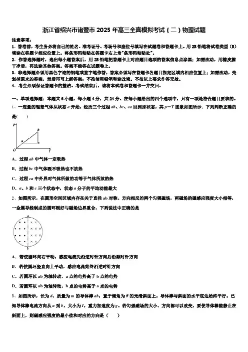浙江省绍兴市诸暨市2025年高三全真模拟考试(二)物理试题含解析