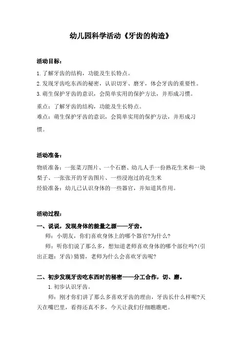 幼儿园科学活动《牙齿的构造》